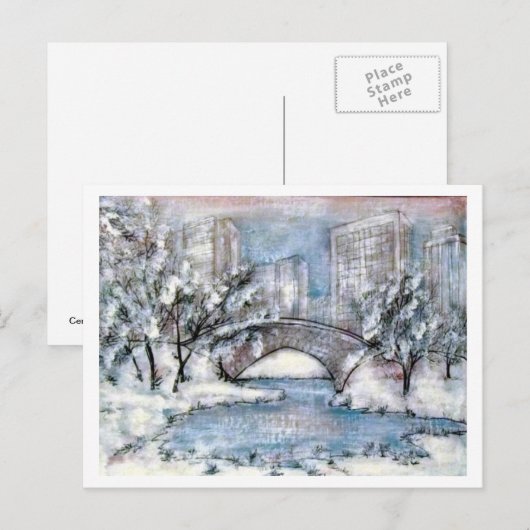 Central Park New York Winter Briefkaart (Voorkant / Achterkant)