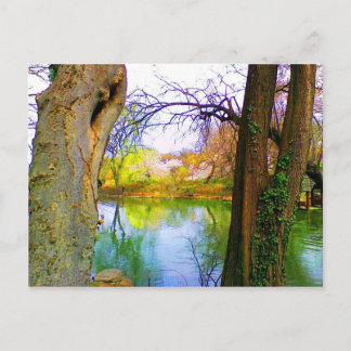 Central Park, NY Briefkaart