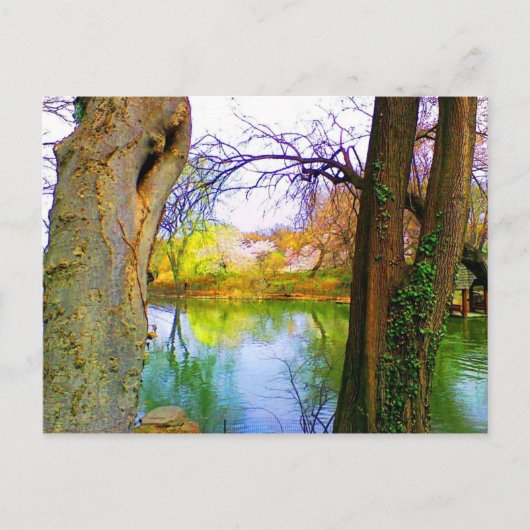 Central Park, NY Briefkaart (Voorkant)