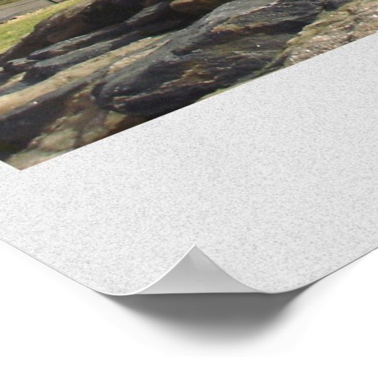 Central Park, NY Poster (Hoek)