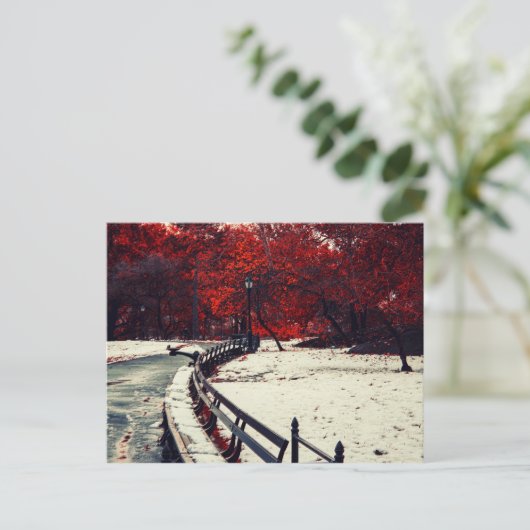 Central Park, NYC Briefkaart (Staand voorkant)