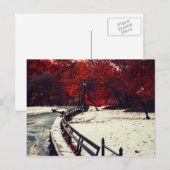 Central Park, NYC Briefkaart (Voorkant / Achterkant)