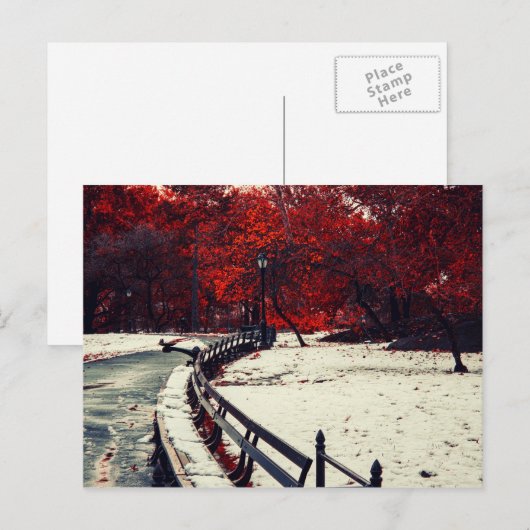 Central Park, NYC Briefkaart (Voorkant / Achterkant)