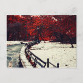 Central Park, NYC Briefkaart (Voorkant)