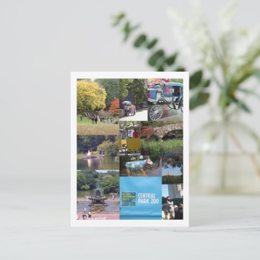 Central Park - NYC Briefkaart (Staand voorkant)