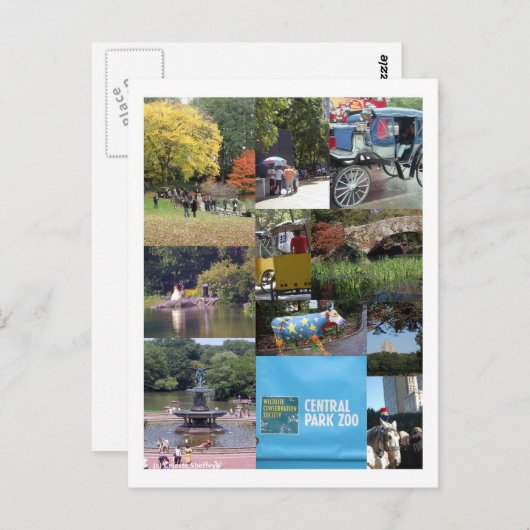Central Park - NYC Briefkaart (Voorkant / Achterkant)