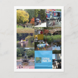 Central Park - NYC Briefkaart