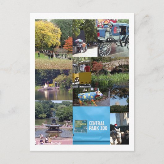 Central Park - NYC Briefkaart (Voorkant)