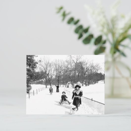 Central Park NYC Briefkaart 1900 (Staand voorkant)