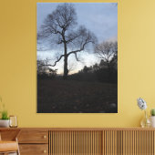 Central Park. NYC Canvas Afdruk (Insitu (Woonkamer))