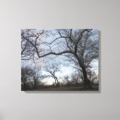 Central Park. NYC Canvas Afdruk (Voorkant)