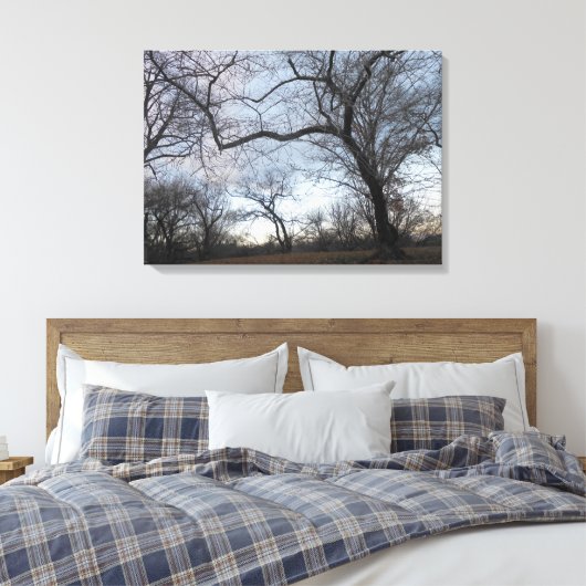 Central Park. NYC Canvas Afdruk (Insitu (Slaapkamer))