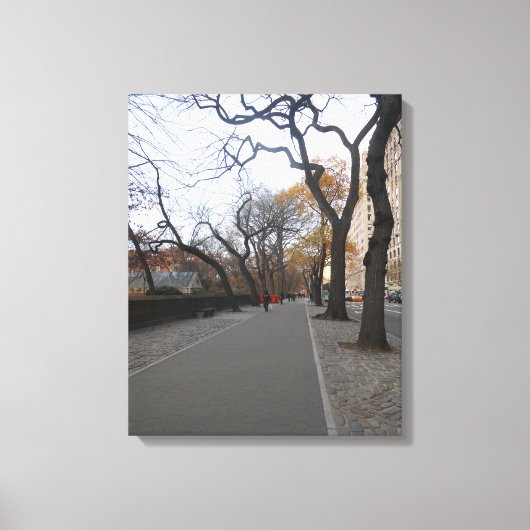 Central Park. NYC Canvas Afdruk (Voorkant)