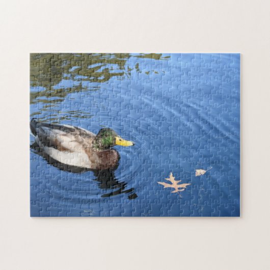 Central Park NYC Conservatory Water Mallard Duck Legpuzzel (Horizontaal)