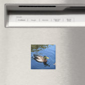 Central Park NYC Conservatory Water Mallard Duck Magneet (Insitu (Vaatwasser))
