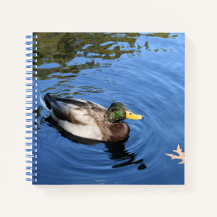 Central Park NYC Conservatory Water Mallard Duck Notitieboek