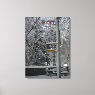 Central Park NYC New York City Winter Snow Foto Canvas Afdruk