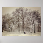 Central Park, NYC Poster (Voorkant)