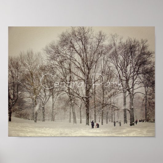 Central Park, NYC Poster (Voorkant)
