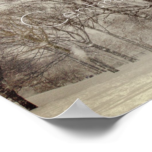 Central Park, NYC Poster (Hoek)