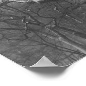 Central Park, NYC Poster (Hoek)