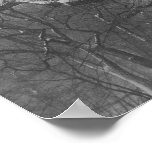 Central Park, NYC Poster (Hoek)