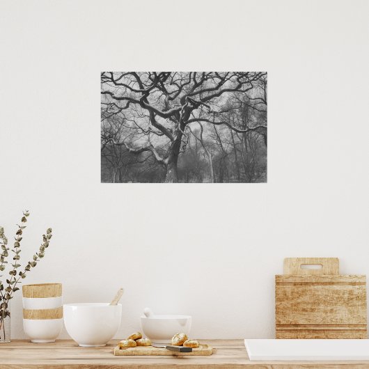 Central Park, NYC Poster (Keuken)