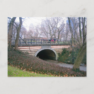 Central Park NYC Stone Archway New York City Foto Briefkaart