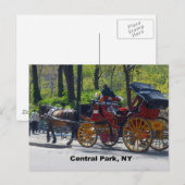 Central Park, Paarden en Vervoer Briefkaart (Voorkant / Achterkant)