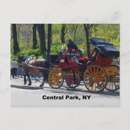 Central Park, Paarden en Vervoer Briefkaart (Voorkant)