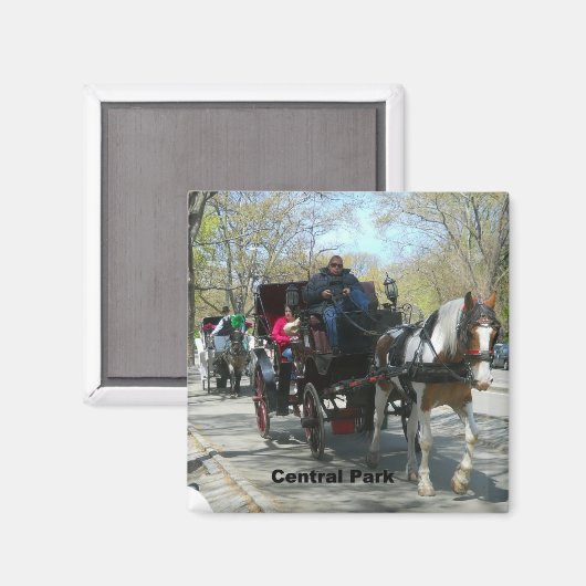 Central Park, Paarden en Vervoer Magneet (Voorkant / Achterkant)