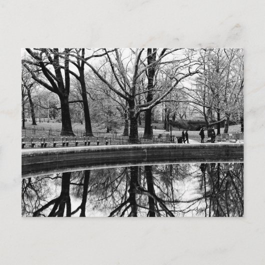 Central Park Photo, NYC Briefkaart (Voorkant)
