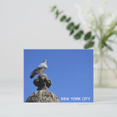 Central Park Pigeon Blue Sky New York City Bird Briefkaart (Staand voorkant)
