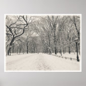 Central Park - Poet's Walk - New York City Poster (Voorkant)