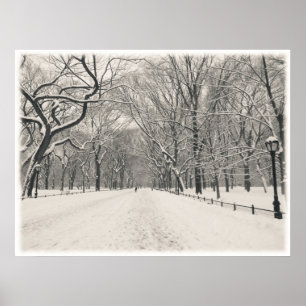 Central Park - Poet's Walk - New York City Poster