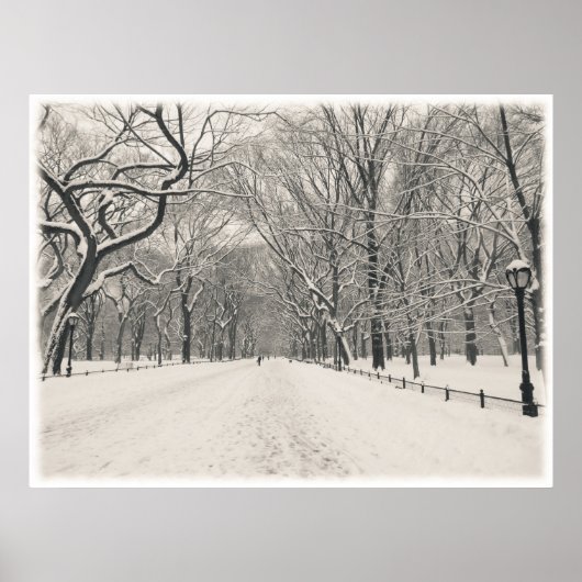 Central Park - Poet's Walk - New York City Poster (Voorkant)