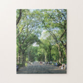 Central Park: Poetsloopbaan in de zomer Legpuzzel (Verticaal)