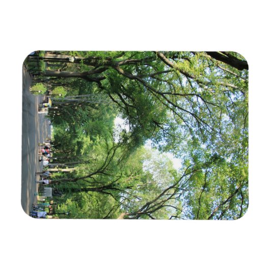 Central Park: Poetsloopbaan in de zomer Magneet (Horizontaal)