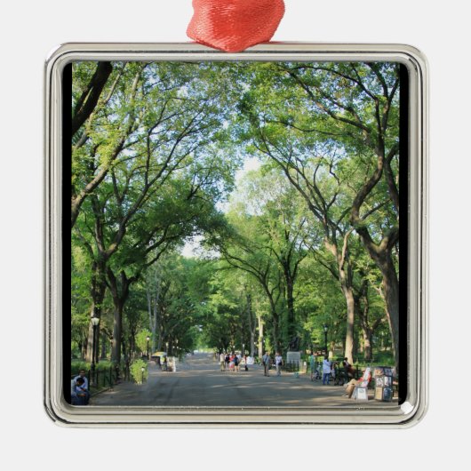 Central Park: Poetsloopbaan in de zomer Metalen Ornament (Voorkant)