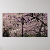 Central Park Poster (Voorkant)