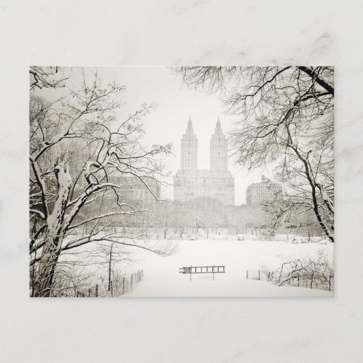 Central Park - Prachtige wintersneeuw Briefkaart (Voorkant)