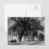 Central Park Rowbots Briefkaart (Voorkant / Achterkant)