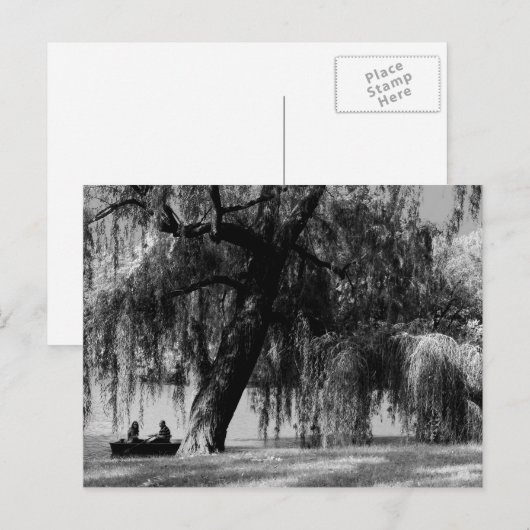 Central Park Rowbots Briefkaart (Voorkant / Achterkant)