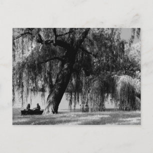 Central Park Rowbots Briefkaart