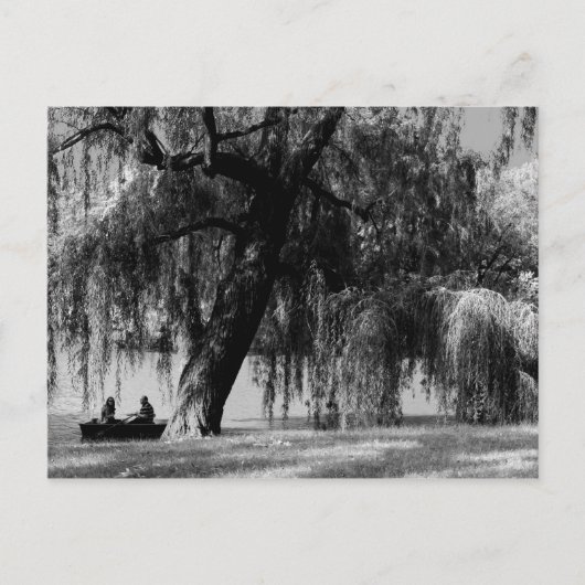 Central Park Rowbots Briefkaart (Voorkant)