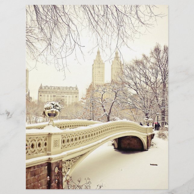 Central Park Snow - Winter New York (Voorkant)
