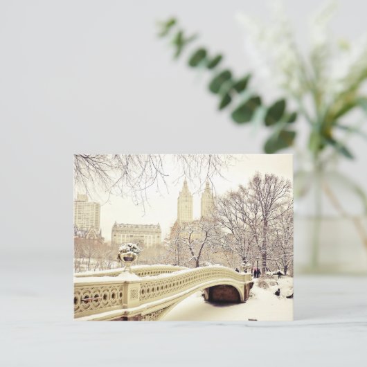 Central Park Snow - Winter New York Briefkaart (Staand voorkant)