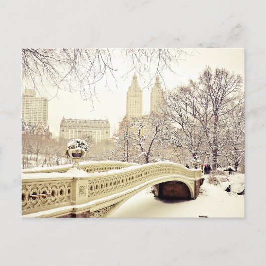 Central Park Snow - Winter New York Briefkaart (Voorkant)