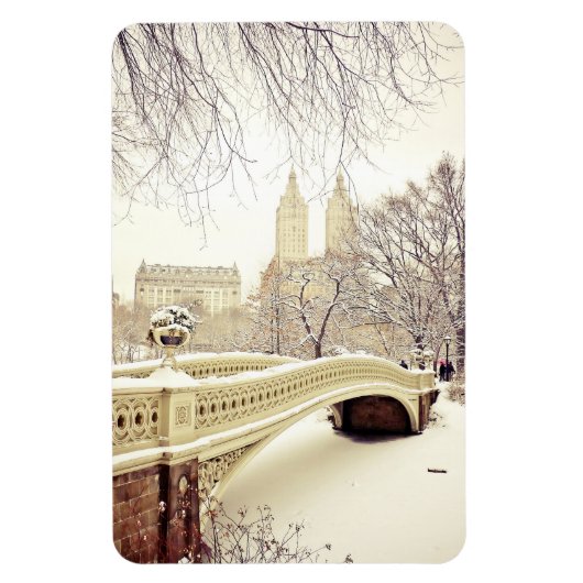 Central Park Snow - Winter New York Magneet (Verticaal)