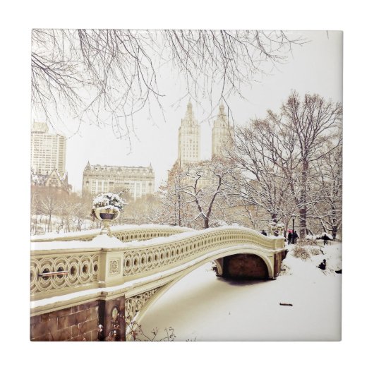 Central Park Snow - Winter New York Tegeltje (Voorkant)